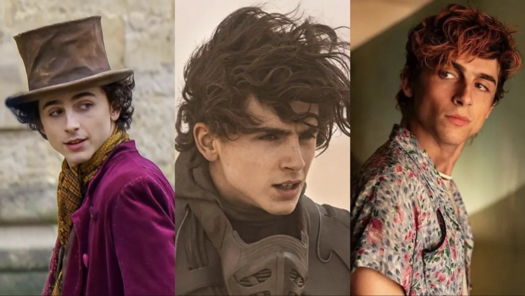 Timothée Chalamet, Wonka, Dune, Bones and All