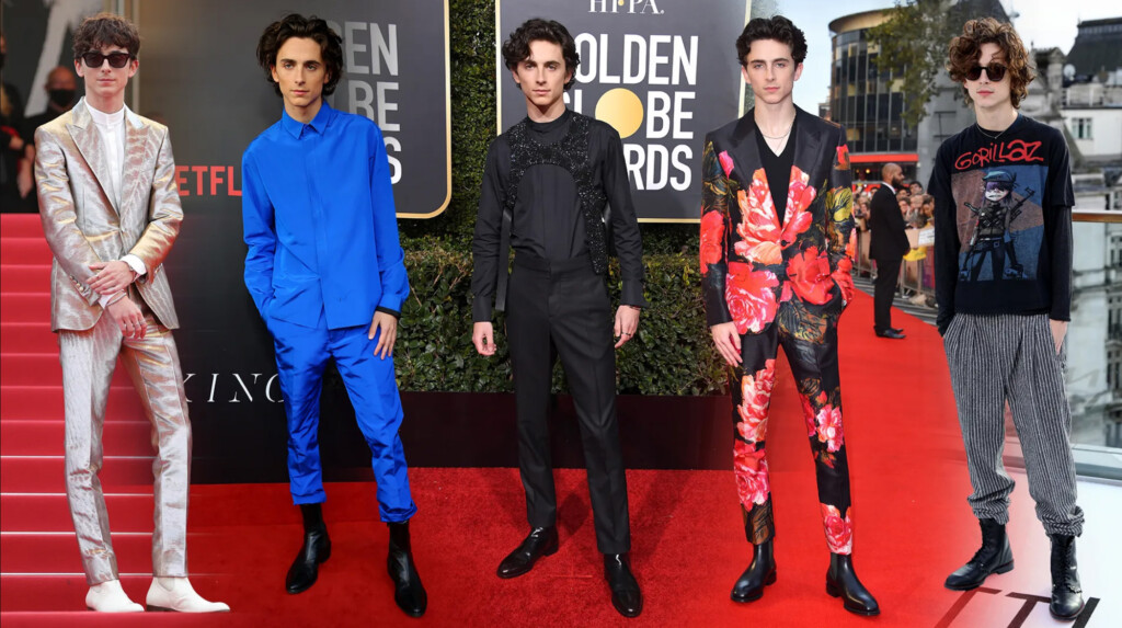 Timothée Chalamet Red Carpet